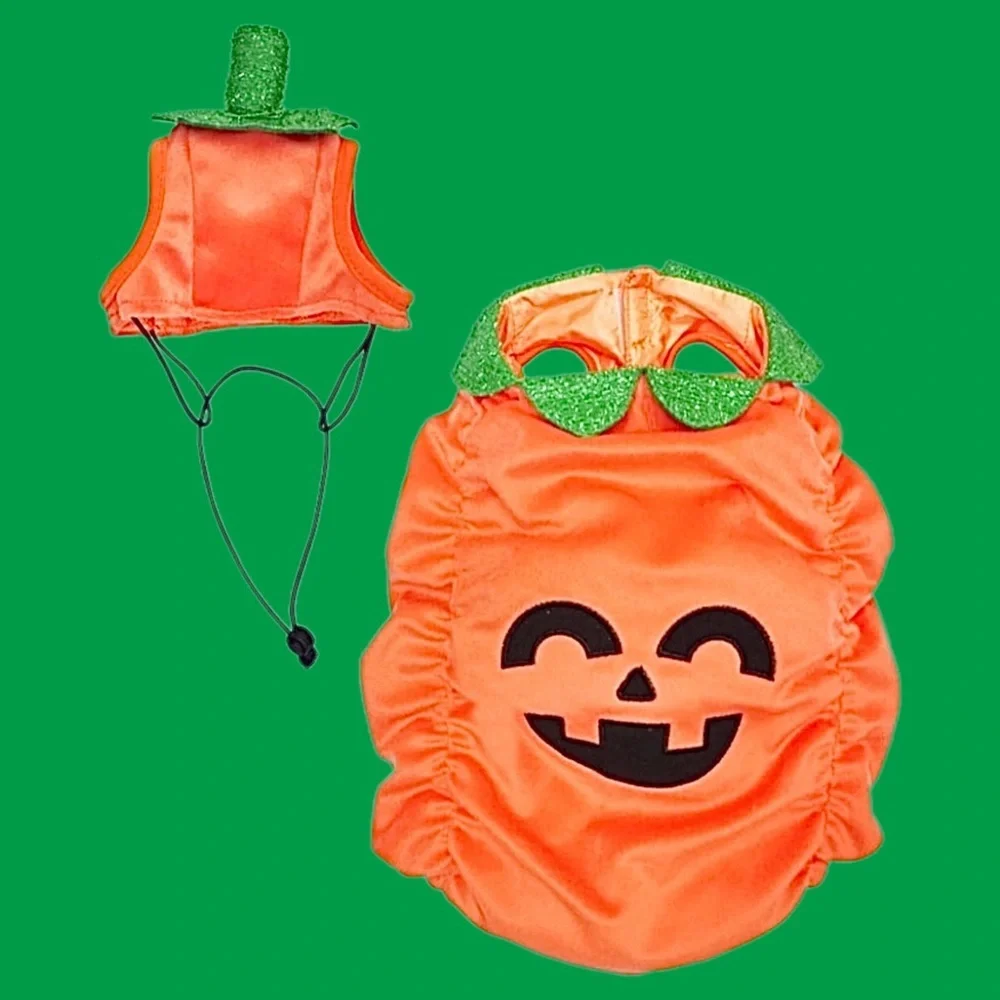 PET JACK-O’-LANTERN COSTUME NWT